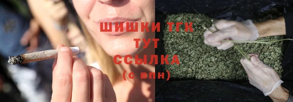 сатива Волоколамск