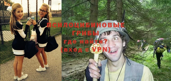 сатива Волоколамск