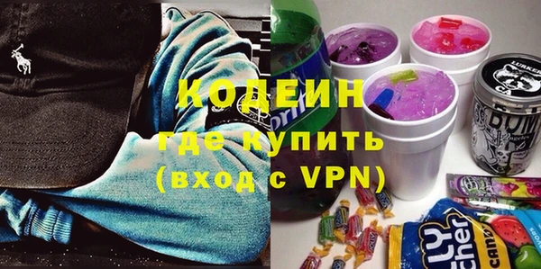 сатива Волоколамск